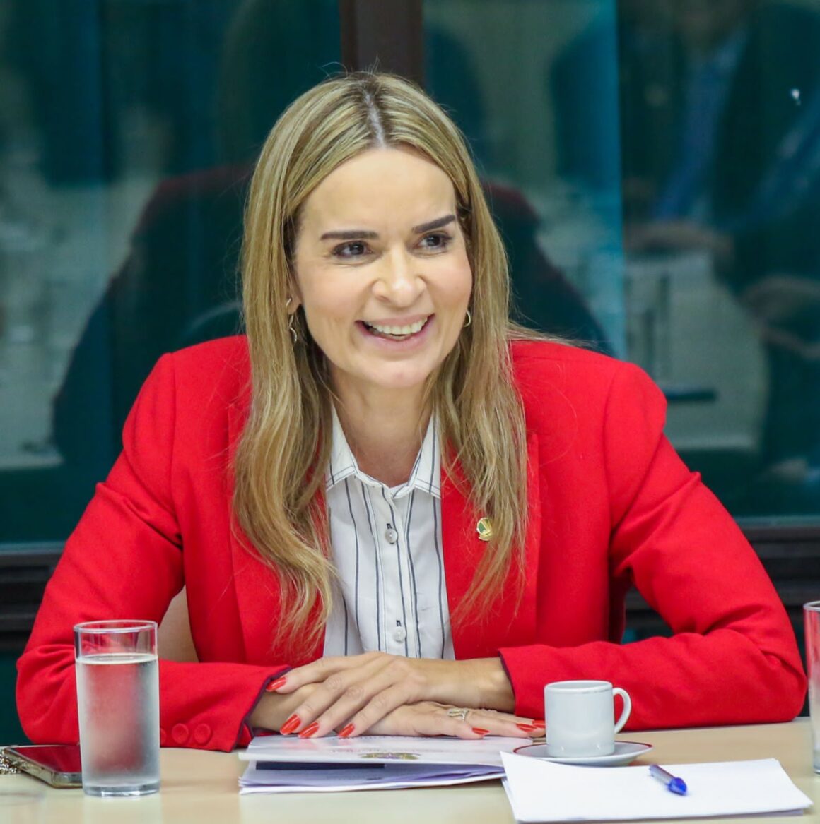 Daniella vota por aprovar PL que garante exames em pré-natal