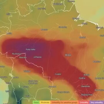 Oito estados e DF são afetados pela fumaça de incêndios