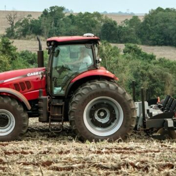 Curral de Cima: agricultura é marca da campanha de Adjamir