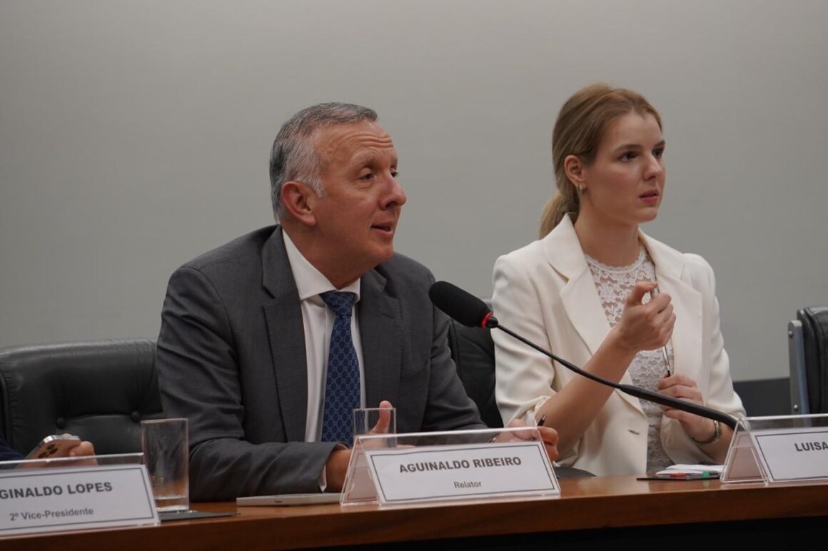 “Marco histórico”, diz Aguinaldo sobre regulamentação da IA