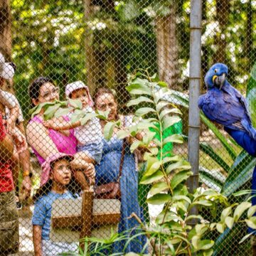 Ranking confirma avanços na eficiência pública e preservação ambiental em João Pessoa