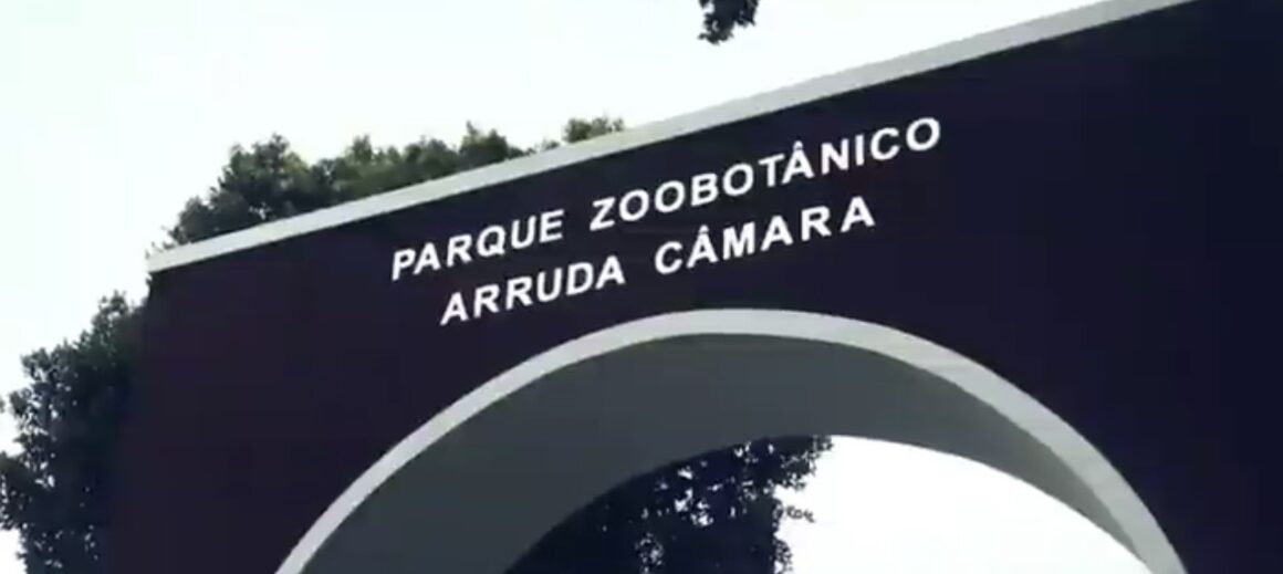 Homem invade jaula de leoa na Bica e morre; PMJP apura fato