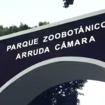 Homem invade jaula de leoa na Bica e morre; PMJP apura fato