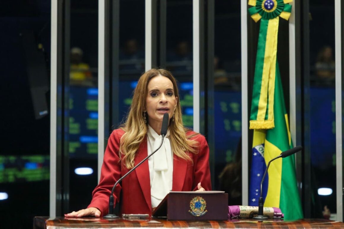 Daniella Ribeiro defende redução de alíquotas para indústrias químicas e petroquímicas