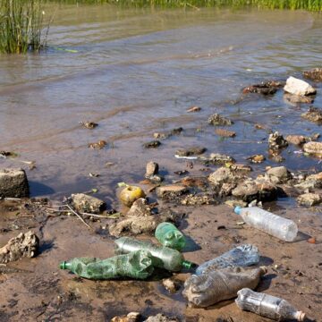 Ministério Público protocola ação e ações para salvar o Rio Jaguaribe